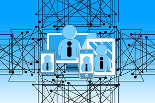 mk体育平台登录入口-中国青少年篮球发展政策实施与推广策略，青少年篮球发展现状及对策研究