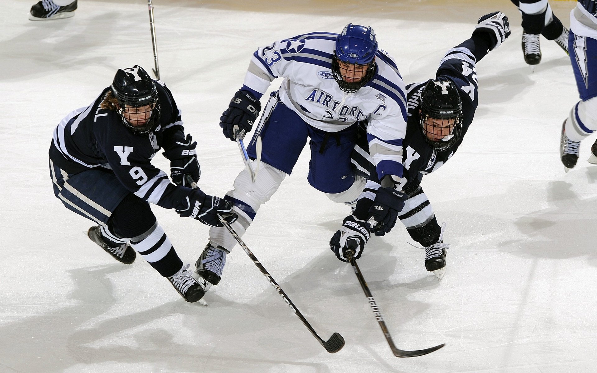 “东部新区定向越野:在大自然中与时间赛跑”